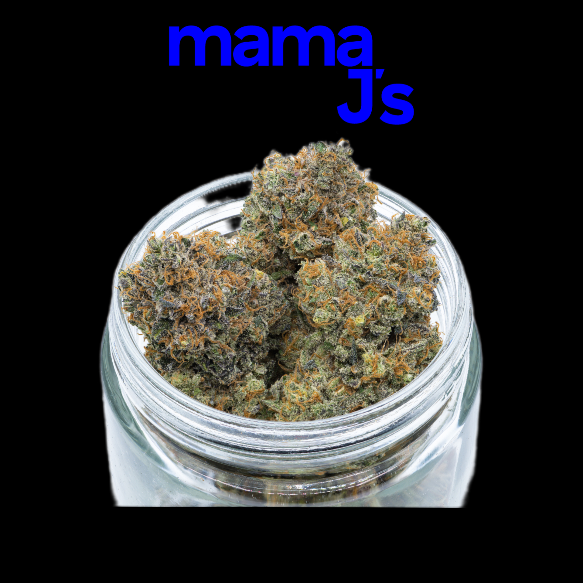 Mimosa